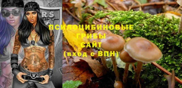 СК Дмитриев