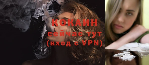 шишки Дмитровск