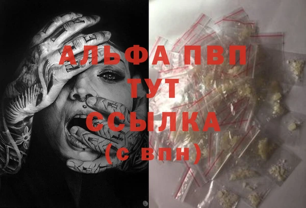 СК Дмитриев