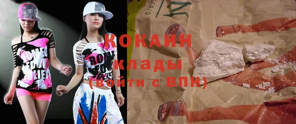 шишки Дмитровск