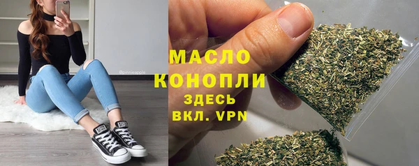 молекула духа Дмитров