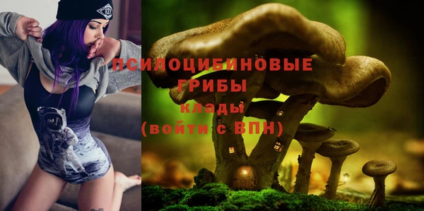 шишки Дмитровск