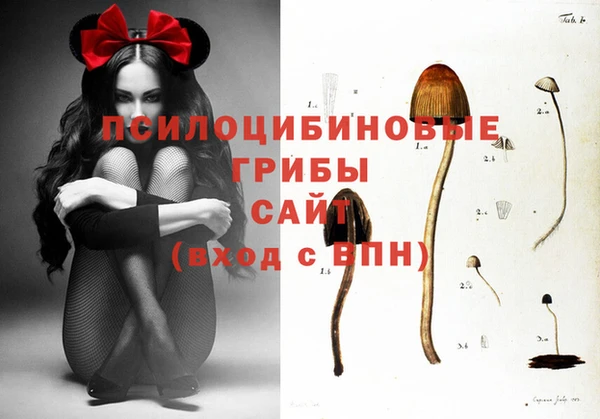 молекула духа Дмитров