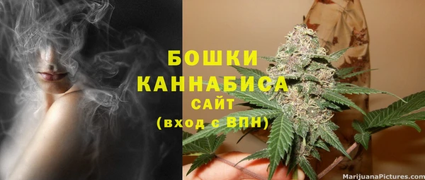 молекула духа Дмитров