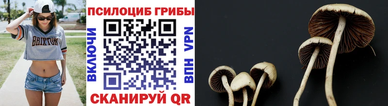 Псилоцибиновые грибы GOLDEN TEACHER  KRAKEN вход  Донской 